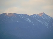Gold on the hills?